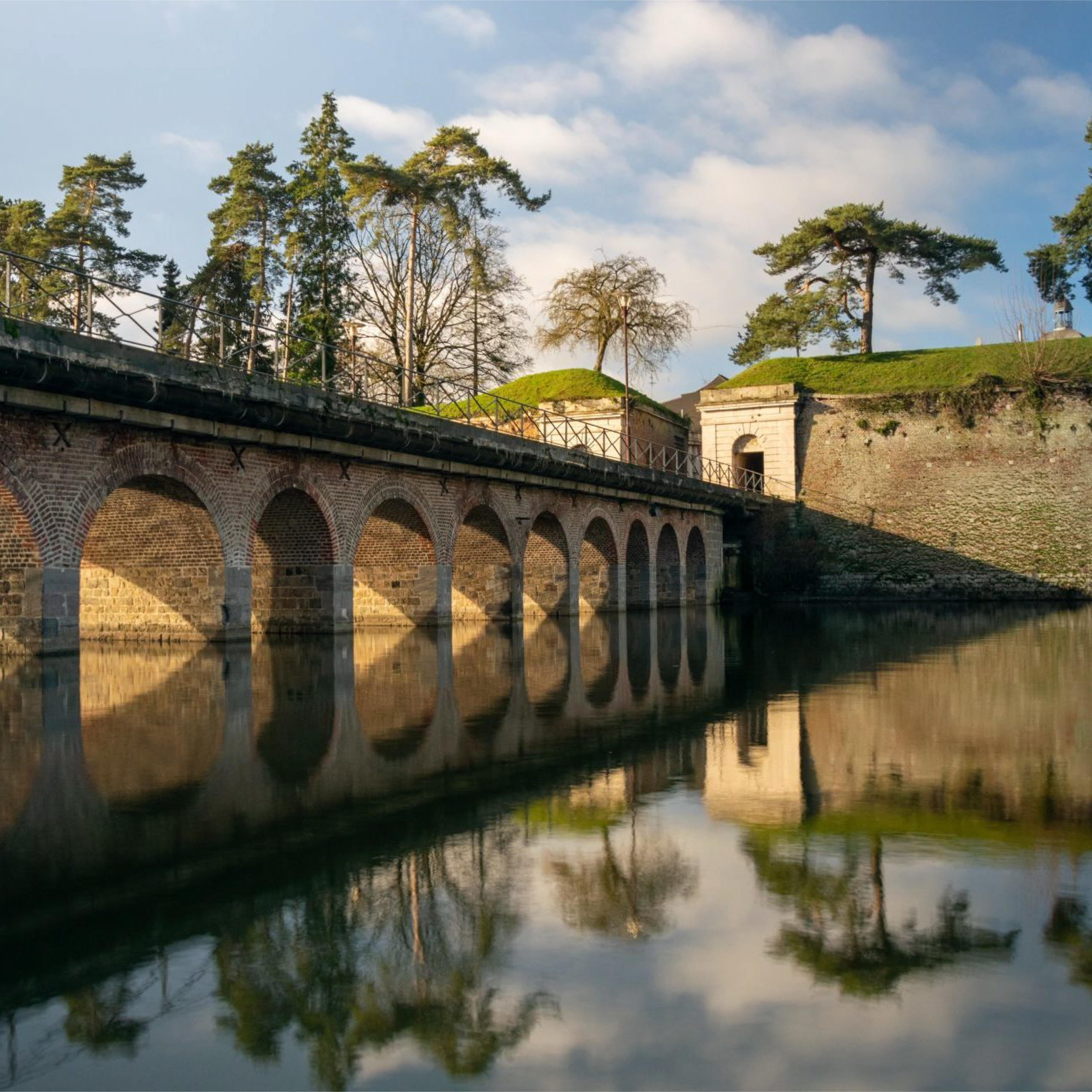 Présentation de l'icône de l'application et du service proposé par Terres d'Avesnes.
