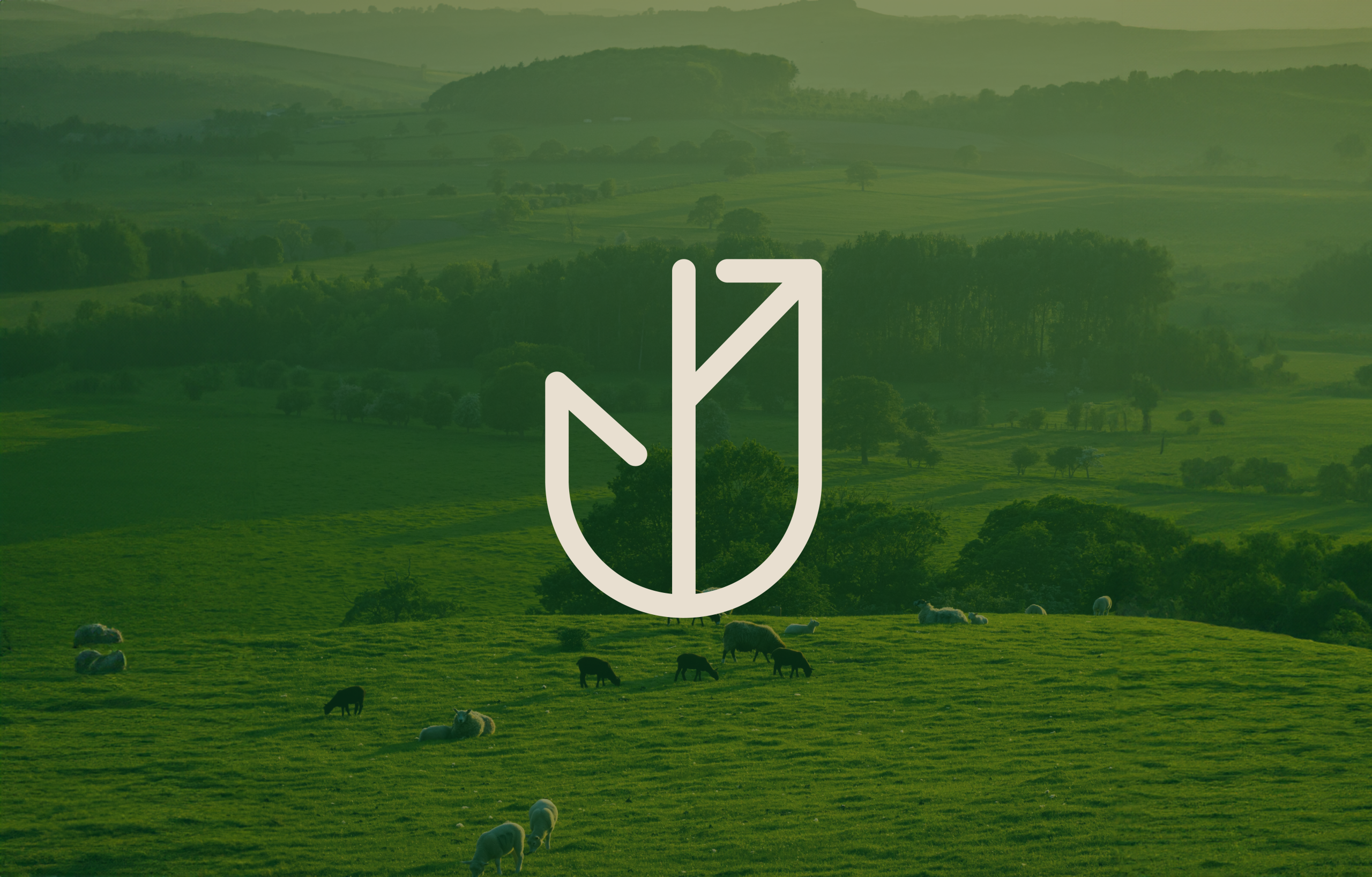 Logo iconographique beige pour Terre d'Avesnes. Photographie d'un paysage Avesnois teintée en vert en arrière plan.