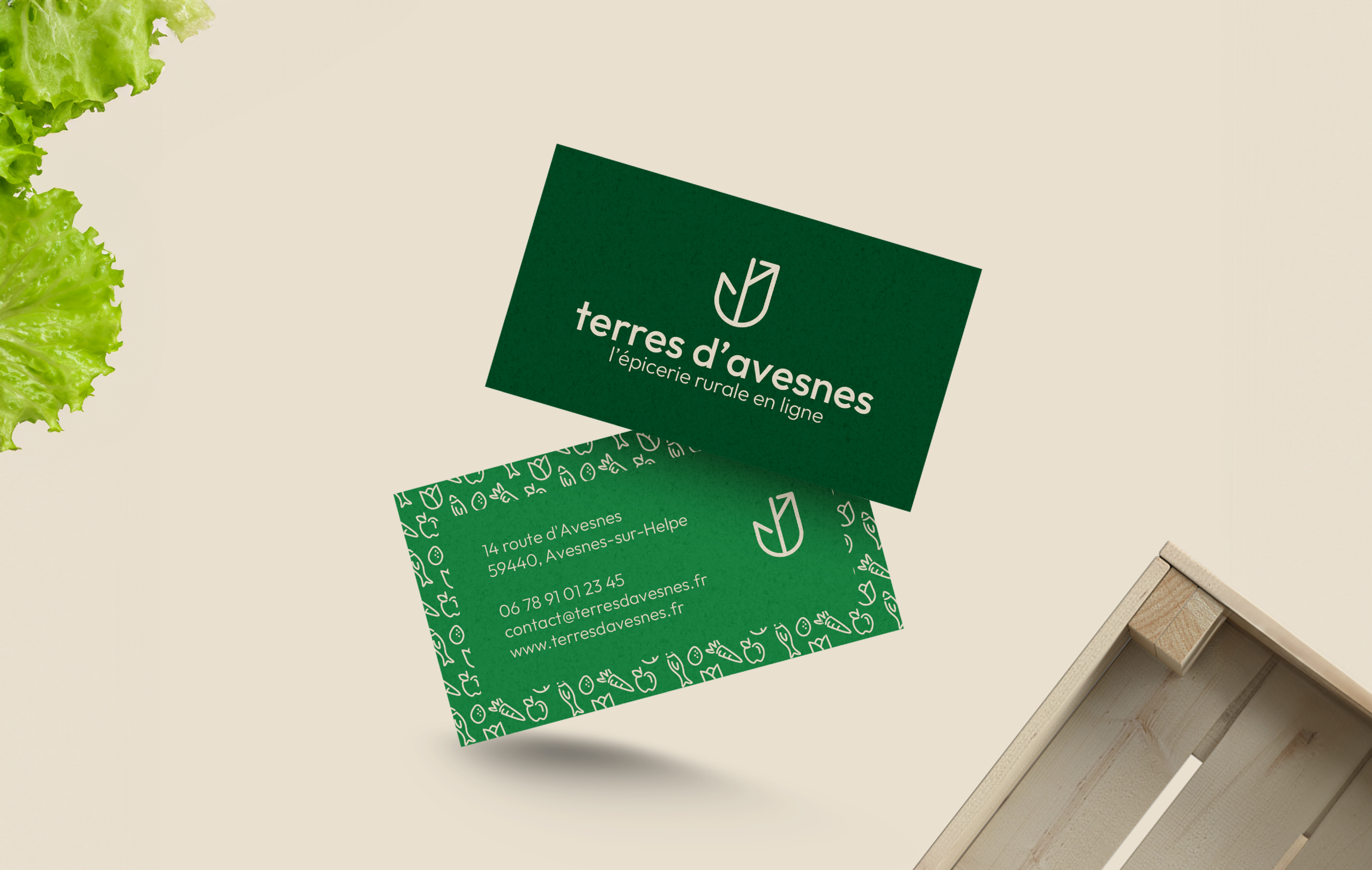 Photographie des faces recto et verso des cartes de visites. Cartes aux teintes vertes sur fond beige. Une salade et une cagette entourent les cartes.