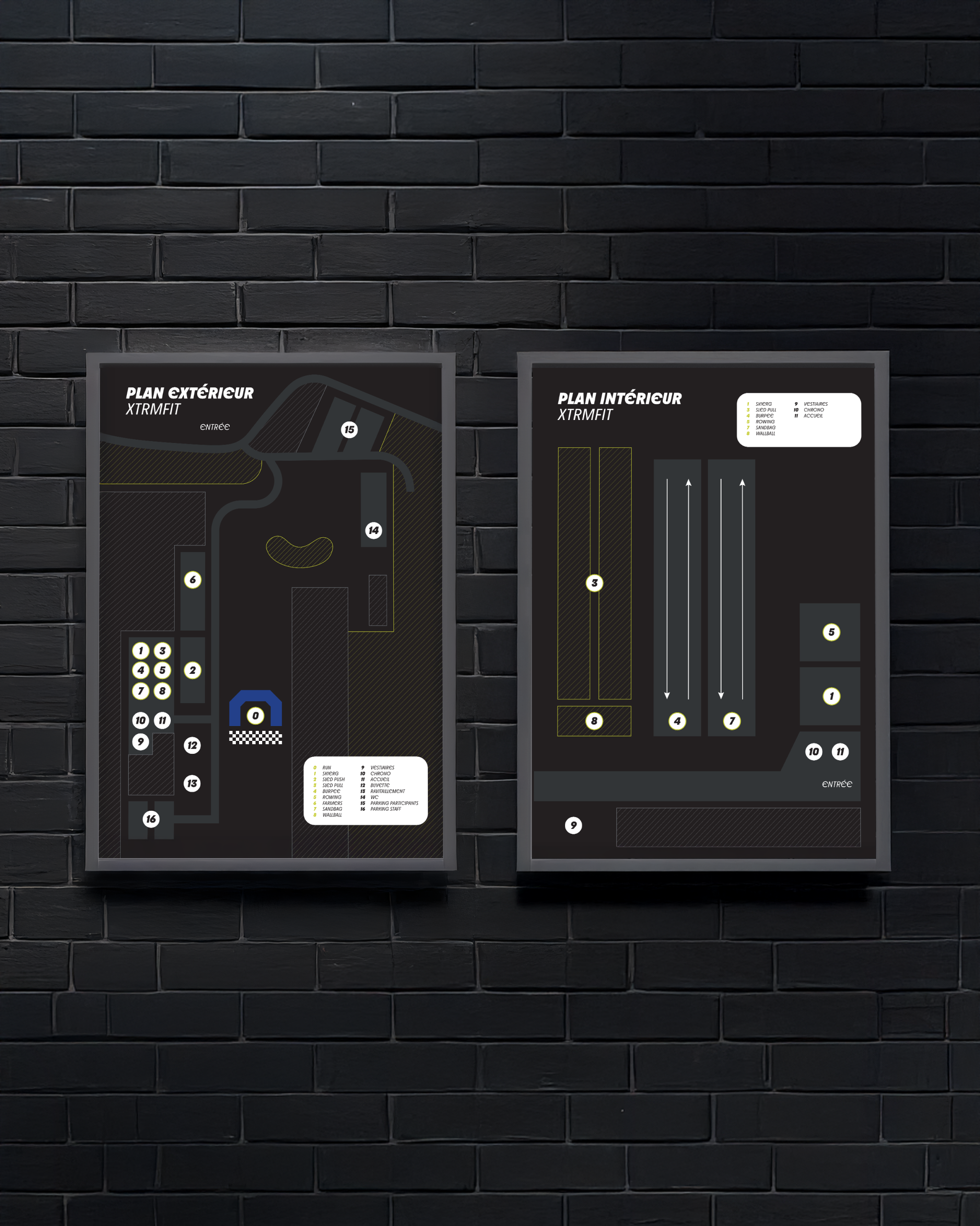 Assemblage des déclinaisons du logo Terre d'Avesnes sur différentes couleurs.